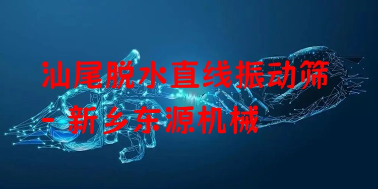 汕尾脫水直線振動(dòng)篩 - 新鄉(xiāng)東源機(jī)械