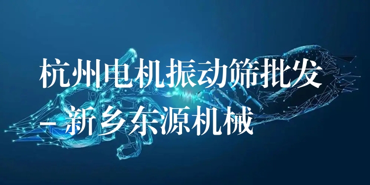 杭州電機(jī)振動(dòng)篩批發(fā) - 新鄉(xiāng)東源機(jī)械