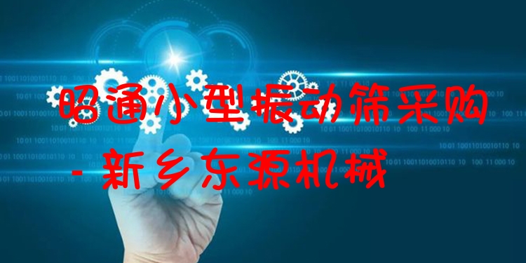 昭通小型振動(dòng)篩采購(gòu) - 新鄉(xiāng)東源機(jī)械