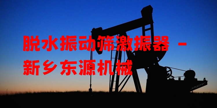脫水振動篩激振器 - 新鄉(xiāng)東源機械