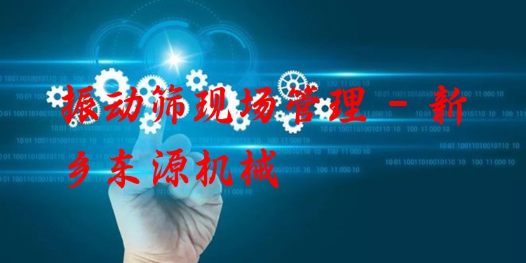 振動(dòng)篩現(xiàn)場管理 - 新鄉(xiāng)東源機(jī)械