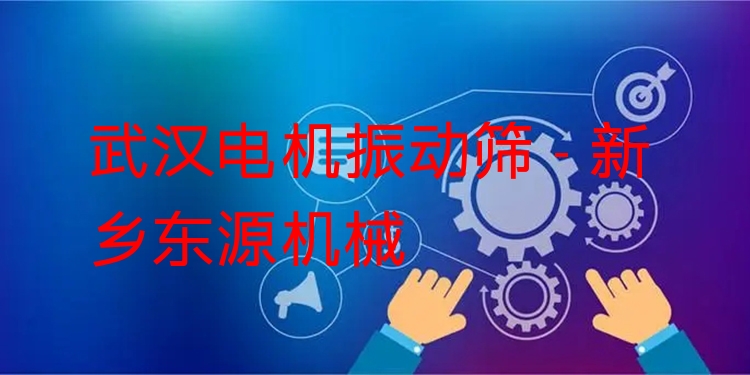 武漢電機振動篩 - 新鄉(xiāng)東源機械